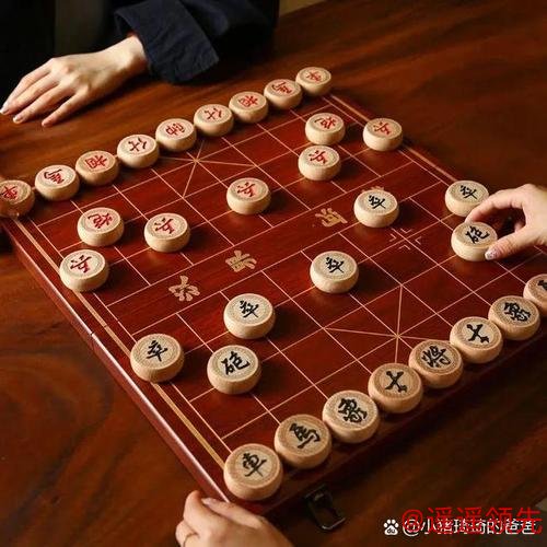 和田银龄智慧交锋“棋”乐无穷