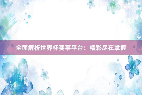 全面解析世界杯赛事平台：精彩尽在掌握